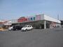 ドラックストア　ドラッグスギ上町二丁目店（ドラッグストア）まで1142m