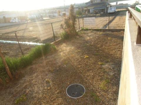 庭　庭（イメージ）