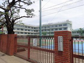 小学校