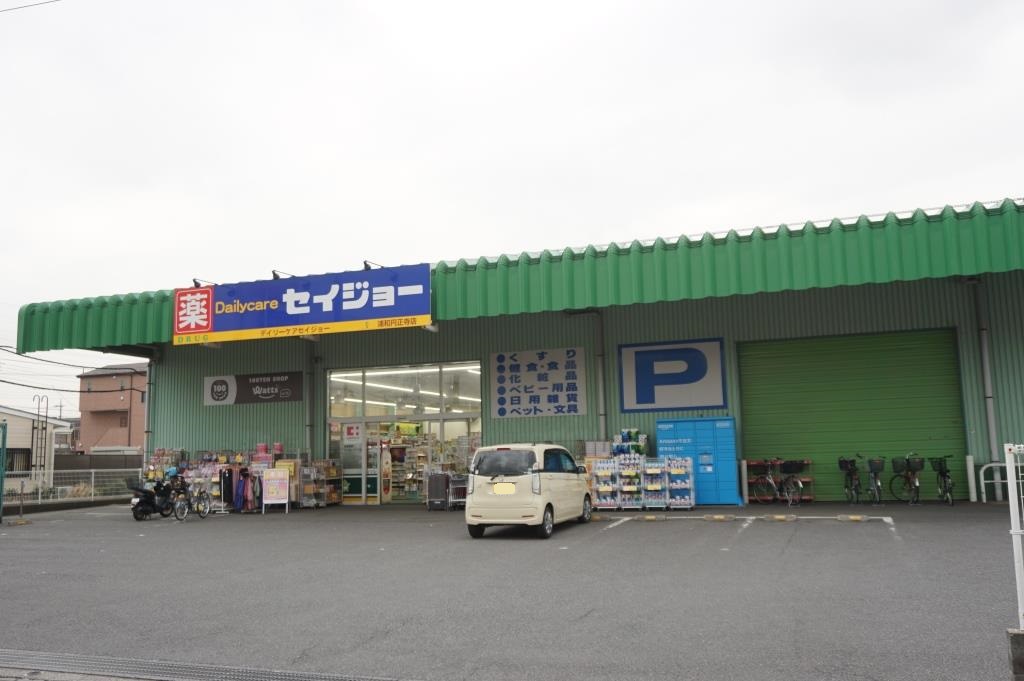 ドラックストア　デイリーケアセイジョー 浦和円正寺店（ドラッグストア）まで265m