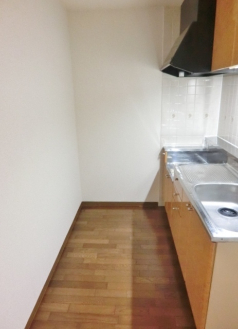 キッチン　室内写真は１０２号室です。