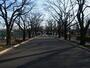 公園　府中の森公園（公園）まで498m