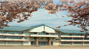 小学校　城南小学校（小学校）まで343m