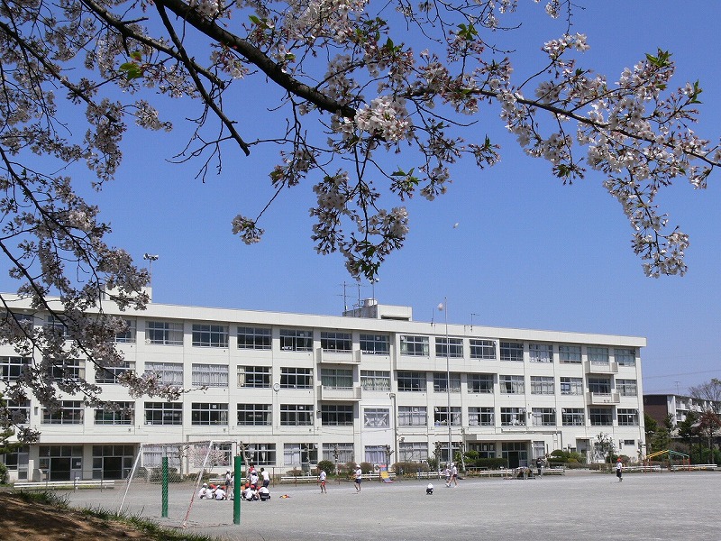 小学校　八王子市立 松が谷小学校（小学校）まで1067m