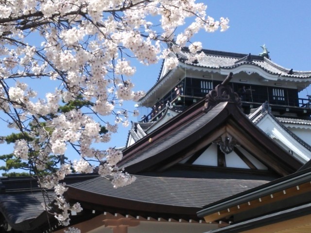 その他　岡崎城（その他）まで508m