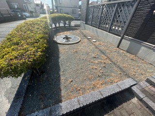 庭