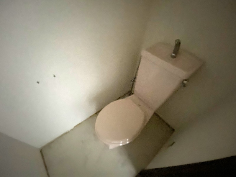 トイレ　トイレは普通です・・。