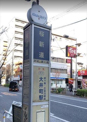 その他　桜新道（その他）まで208m