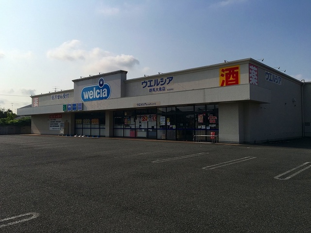 ドラックストア　ウエルシア大泉店（ドラッグストア）まで735m