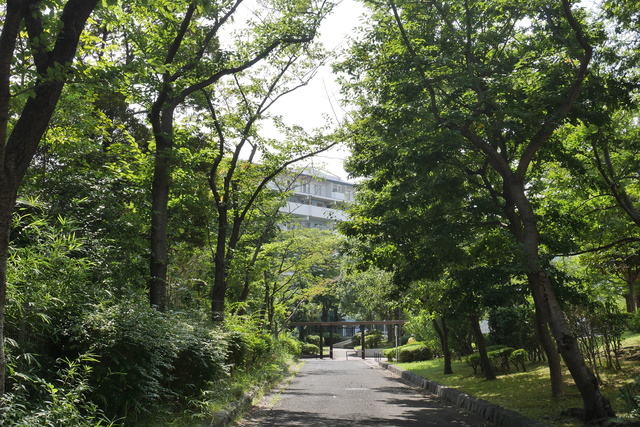 その他共有部分　敷地内