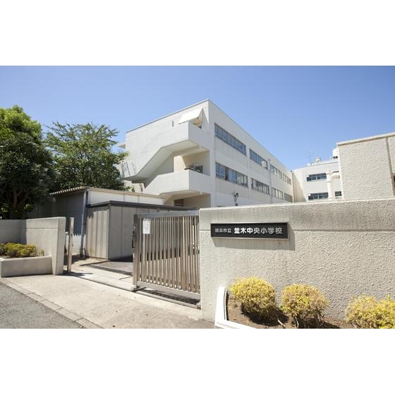 小学校　市立並木中央小学校（小学校）まで560m