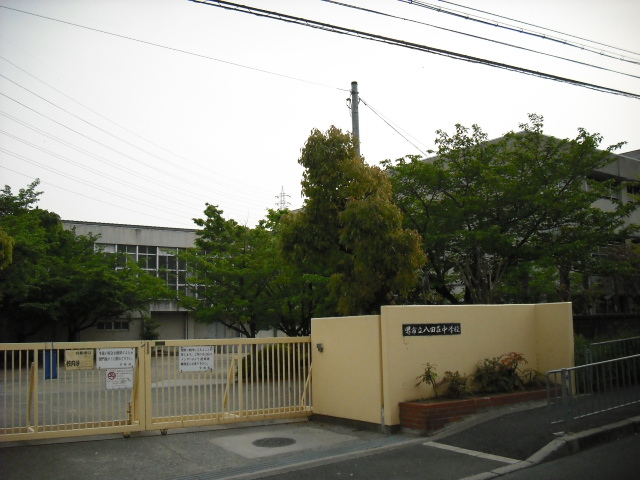 中学校　堺市立八田荘中学校（中学校）まで443m