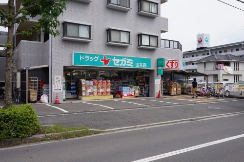 【広島市安佐南区山本のアパートのドラックストア】