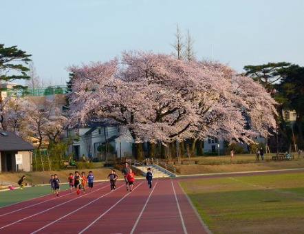 【杉並区大宮のマンションの公園】