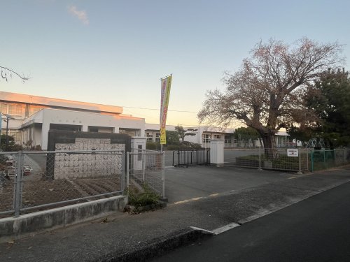 小学校　八代市立文政小学校（小学校）まで579m