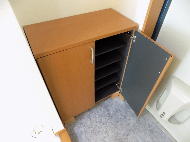 玄関　反転タイプの写真です