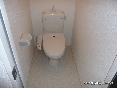 ドミール本町のトイレ写真