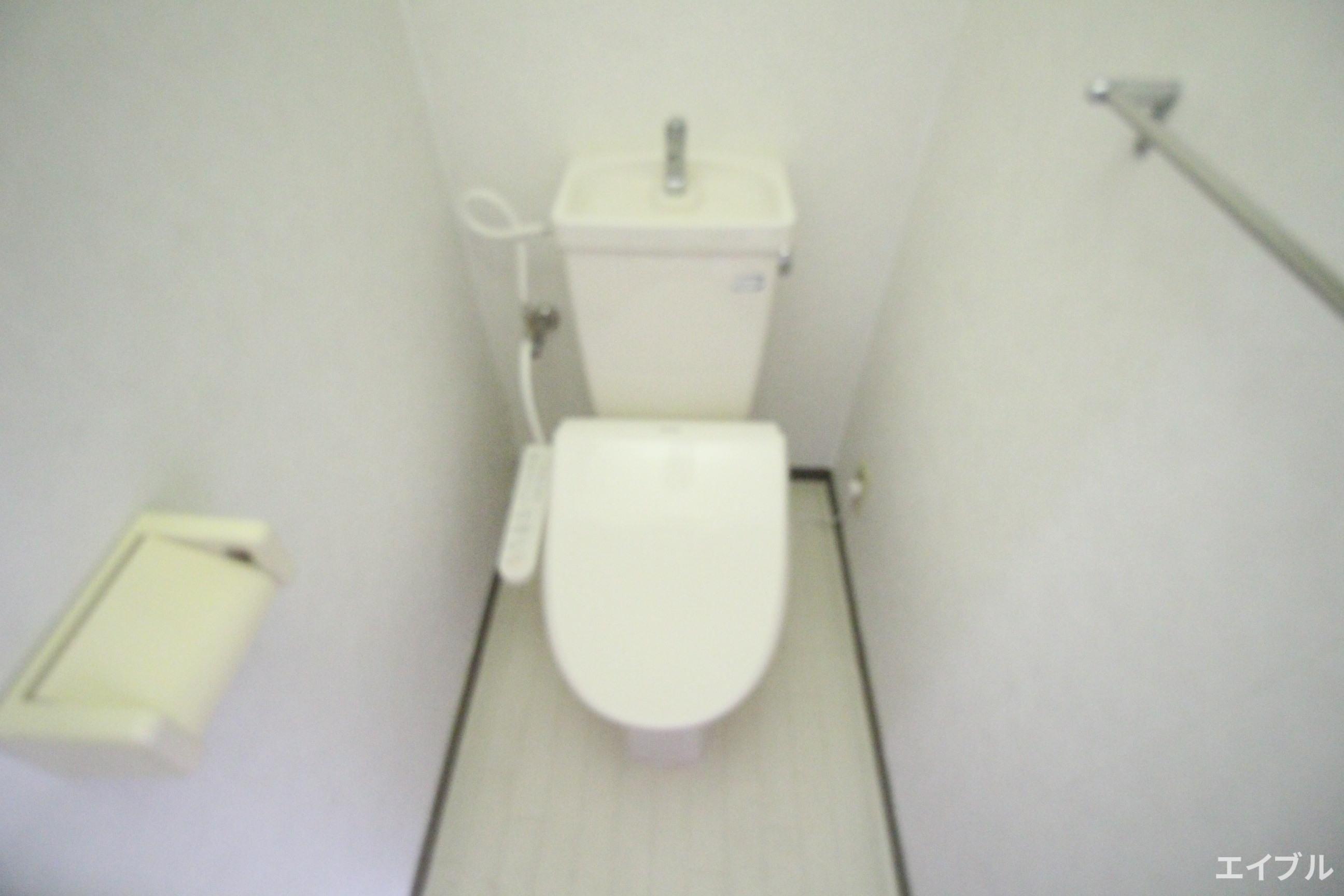 ラピス・パ-シモンのトイレ写真