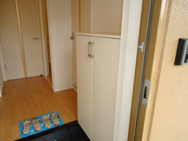 玄関　※同タイプの部屋写真です