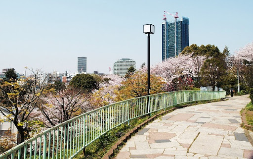 公園　西郷山公園（公園）まで228m