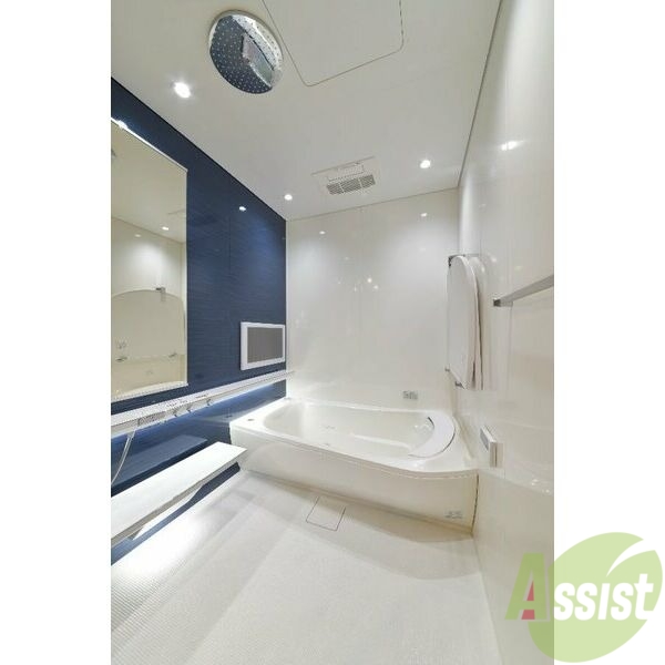 バス・シャワールーム　広々したお風呂で快適にくつろげそうです。