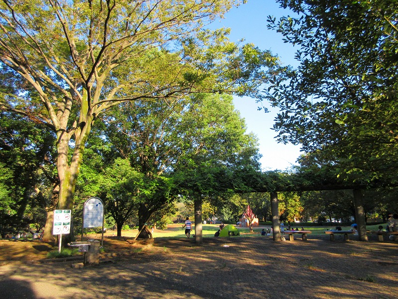 【調布市入間町のアパートの公園】