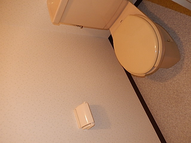 メロディアス御影のトイレ写真