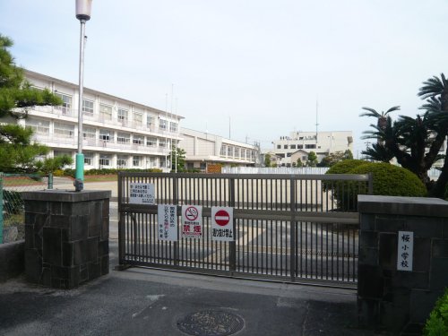 小学校　弥富市立桜小学校（小学校）まで542m