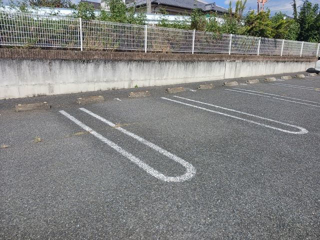 グランデパードレスA_その他_4