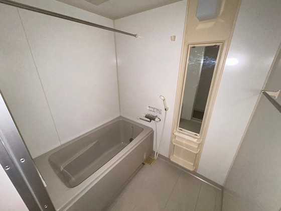 バス・シャワールーム　※別部屋の写真です