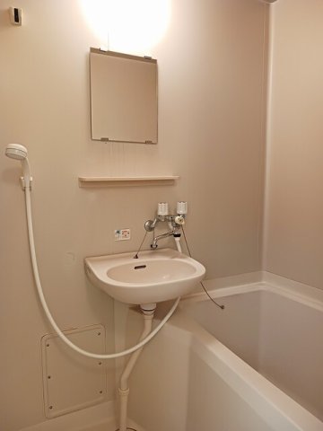 バス・シャワールーム　落ち着いた空間のお風呂です