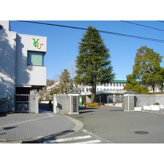 大学・短大　横浜市立大学（大学・短大）まで1330m