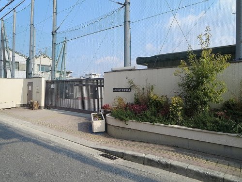中学校　花園中学校（中学校）まで295m