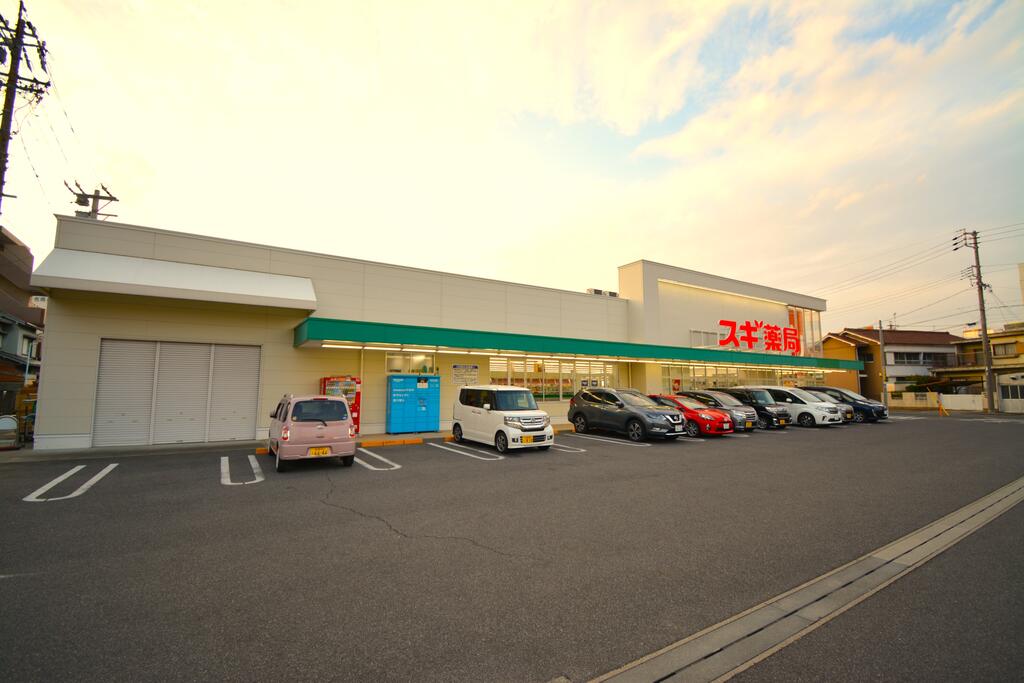 ドラックストア　スギ薬局名南店（ドラッグストア）まで1324m