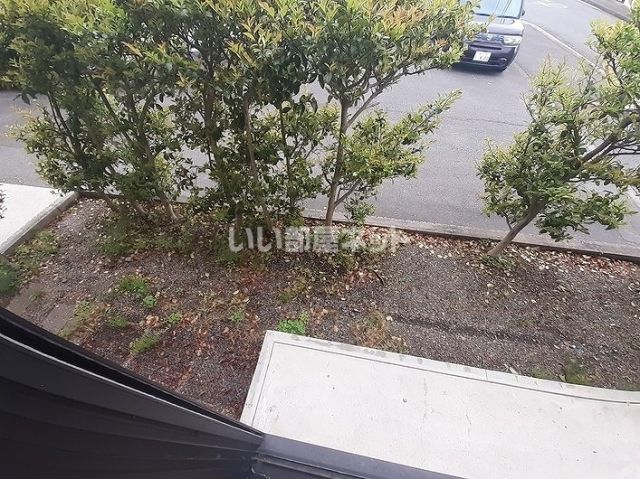 庭
