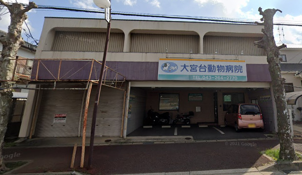 病院　大宮台動物病院（病院）まで392m