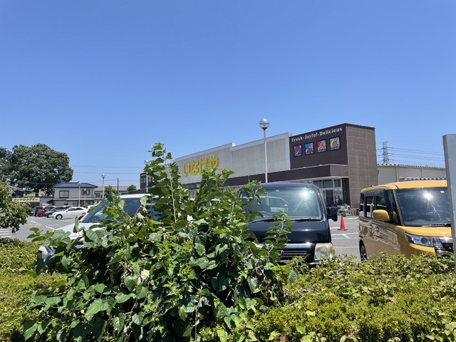 スーパー　いなげや　新座野寺店（スーパー）まで210m
