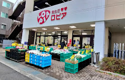 スーパー　スーパーバリューロピア松原店（スーパー）まで49m