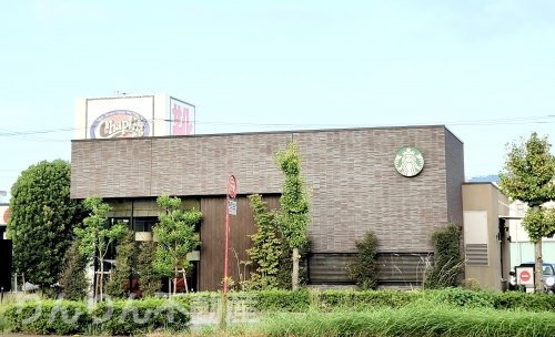 飲食店　スタ-バックス（飲食店）まで607m