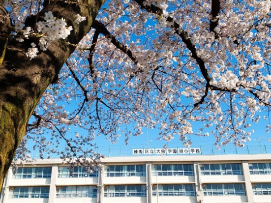 小学校　練馬区立大泉学園緑小学校（小学校）まで460m