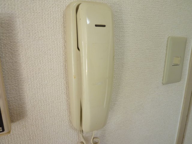 エッセンシャルハウスエビのその他写真