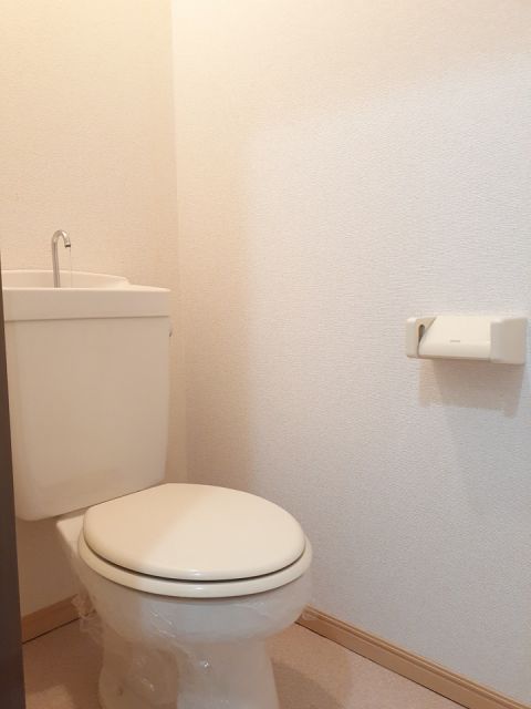 グリーンビラ向山のトイレ写真
