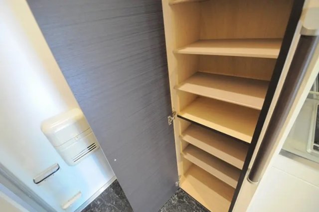 玄関　同物件、別号室のものです。