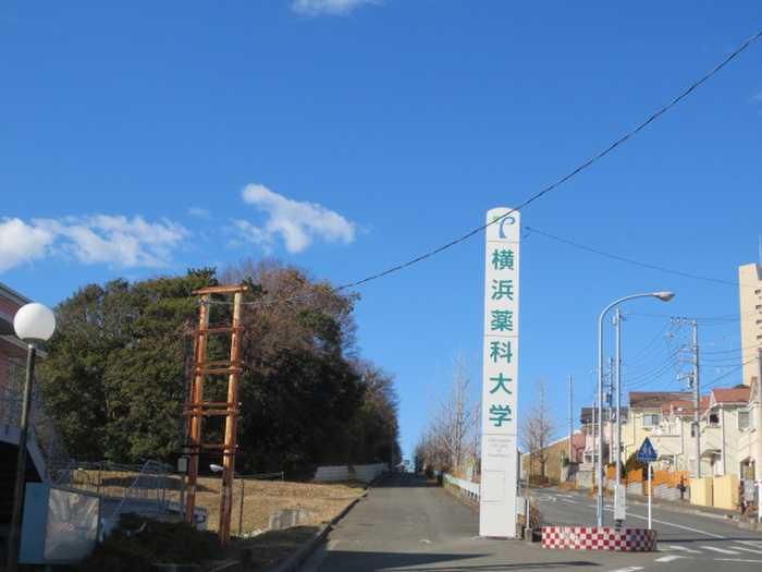 大学・短大　横浜薬科大学（大学・短大）まで498m