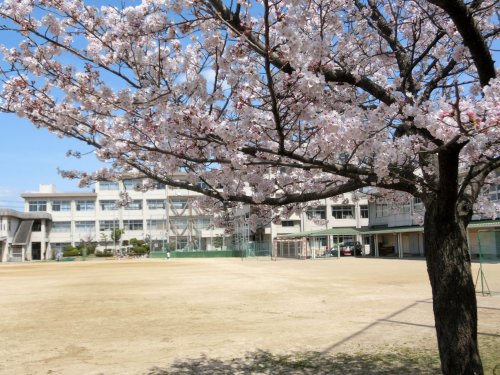 中学校　倉敷市立北中学校（中学校）まで542m