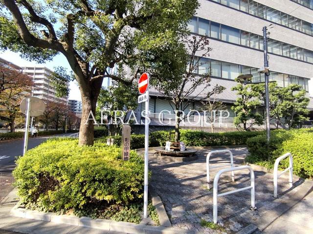 公園　亀の甲緑地（公園）まで342m