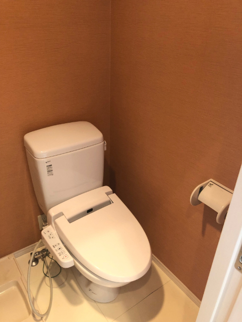 トイレ　※他号室の写真となります。