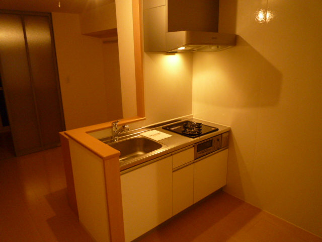 その他　対面キッチン　夜の撮影（スポットライト点灯時）