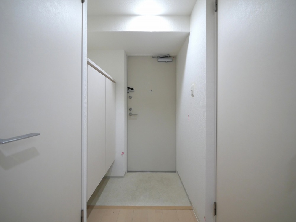 玄関　落ち着いた玄関です