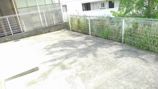 庭